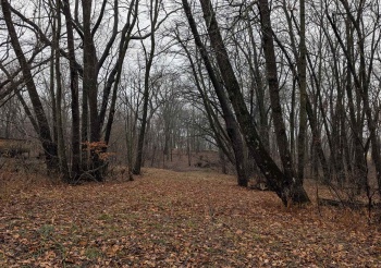 439 Lockwood, DAVIS, Illinois 61019, ,Land,For Sale,Lockwood,202406955