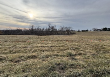 27-20 Norwood, LAKE CARROLL, Illinois 61046, ,Land,For Sale,Norwood,202406983