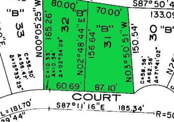 16-31 & 32 Elmhurst, LAKE CARROLL, Illinois 61046, ,Land,For Sale,Elmhurst,202500027