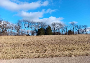 18 Susquehanna, GALENA, Illinois 61036, ,Land,For Sale,Susquehanna,202500059