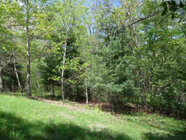 1000 Illinois, OREGON, Illinois 61061, ,Land,For Sale,Illinois,202500093