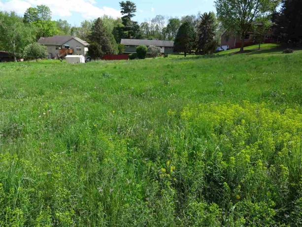 400 Lillemor, OREGON, Illinois 61061, ,Land,For Sale,Lillemor,202500094