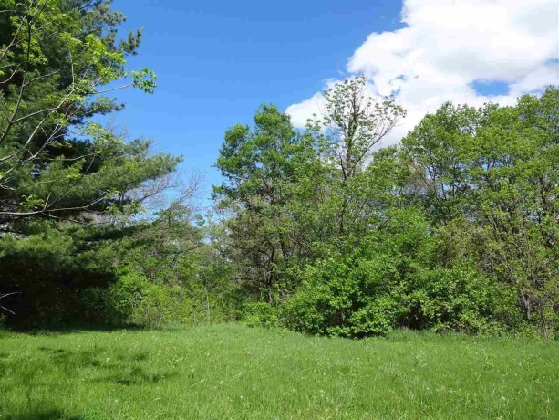 990 Illinois, OREGON, Illinois 61061, ,Land,For Sale,Illinois,202500102