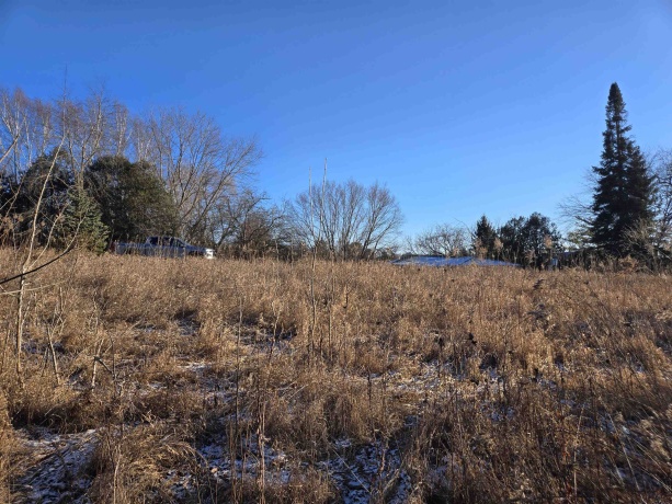3A24 General Grant, APPLE RIVER, Illinois 61001, ,Land,For Sale,General Grant,202500202