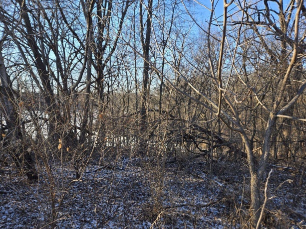 3A24 General Grant, APPLE RIVER, Illinois 61001, ,Land,For Sale,General Grant,202500202