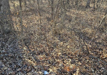 553 Baintree, LAKE SUMMERSET, Illinois 61019, ,Land,For Sale,Baintree,202500296