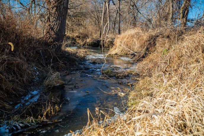 0 Malvern, MORRISON, Illinois 61270, ,Land,For Sale,Malvern,202500349