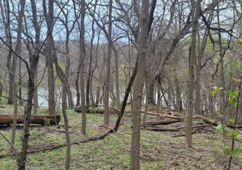 4 Waterford, GALENA, Illinois 61036, ,Land,For Sale,Waterford,202500377