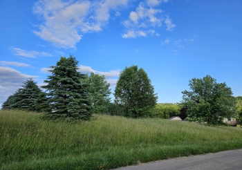 25-2 Homewood, LAKE CARROLL, Illinois 61046, ,Land,For Sale,Homewood,202500477