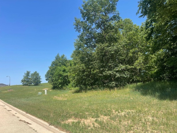 000 WOODS (LOT 26), OREGON, Illinois 61061, ,Land,For Sale,WOODS (LOT 26),202500491