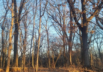 3197 Rocky Hill, GALENA, Illinois 61036, ,Land,For Sale,Rocky Hill,202500507
