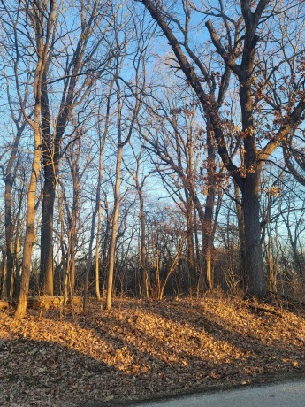 3197 Rocky Hill, GALENA, Illinois 61036, ,Land,For Sale,Rocky Hill,202500507