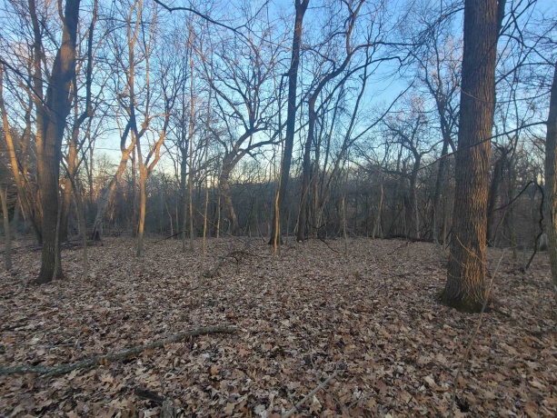 3197 Rocky Hill, GALENA, Illinois 61036, ,Land,For Sale,Rocky Hill,202500507