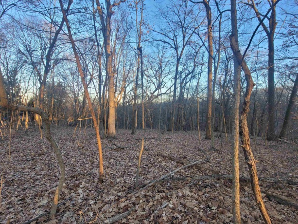 3197 Rocky Hill, GALENA, Illinois 61036, ,Land,For Sale,Rocky Hill,202500507