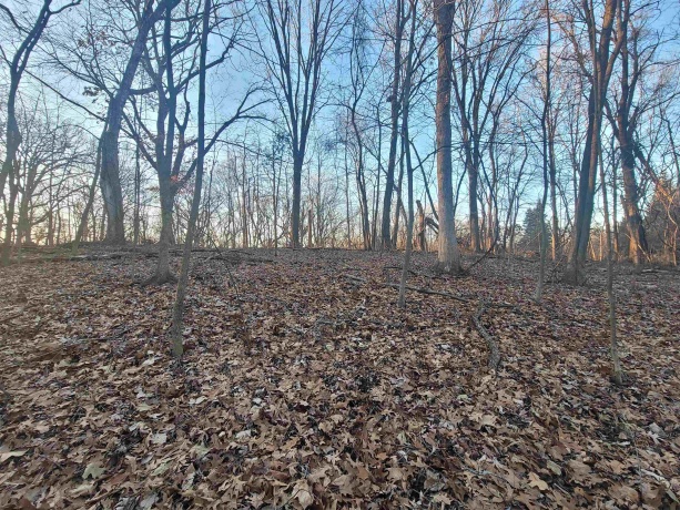 3197 Rocky Hill, GALENA, Illinois 61036, ,Land,For Sale,Rocky Hill,202500507