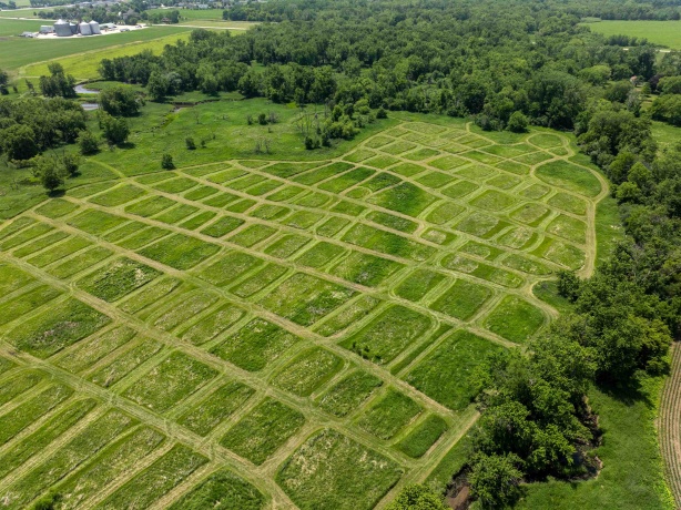 0 Deerpass, MARENGO, Illinois 60152, ,Land,For Sale,Deerpass,202500569