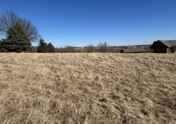 25-5 Homewood, LAKE CARROLL, Illinois 61046, ,Land,For Sale,Homewood,202500732
