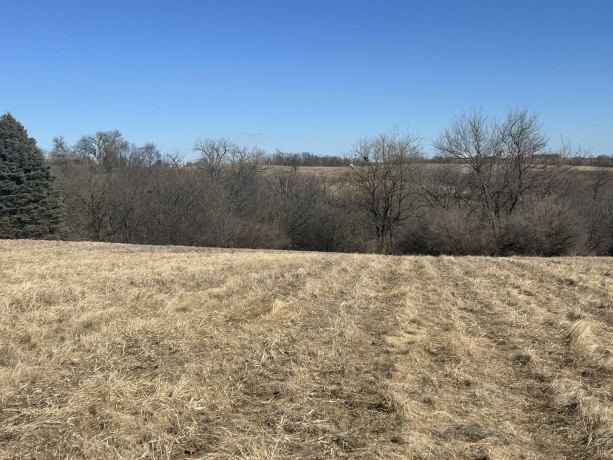 25-5 Homewood, LAKE CARROLL, Illinois 61046, ,Land,For Sale,Homewood,202500732