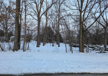 771 Westmore, LAKE SUMMERSET, Illinois 61019, ,Land,For Sale,Westmore,202500790