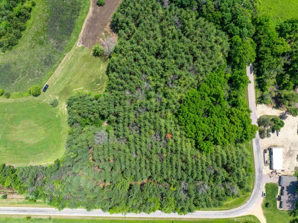 0 Crazy Hollow, HANOVER, Illinois 61041, ,Land,For Sale,Crazy Hollow,202500866