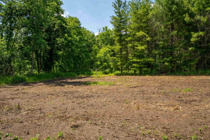 0 Crazy Hollow, HANOVER, Illinois 61041, ,Land,For Sale,Crazy Hollow,202500866