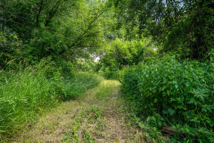 0 Crazy Hollow, HANOVER, Illinois 61041, ,Land,For Sale,Crazy Hollow,202500866