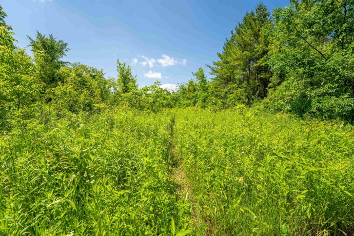 0 Crazy Hollow, HANOVER, Illinois 61041, ,Land,For Sale,Crazy Hollow,202500866