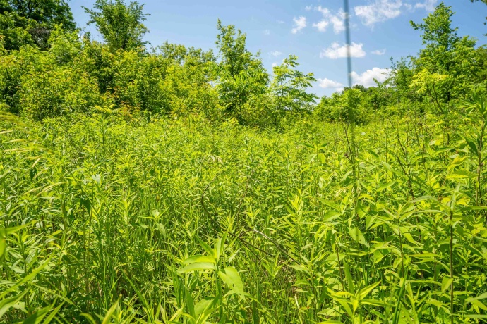 0 Crazy Hollow, HANOVER, Illinois 61041, ,Land,For Sale,Crazy Hollow,202500866