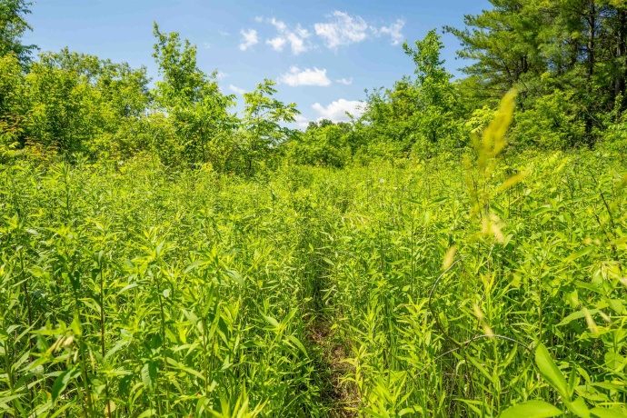 0 Crazy Hollow, HANOVER, Illinois 61041, ,Land,For Sale,Crazy Hollow,202500866