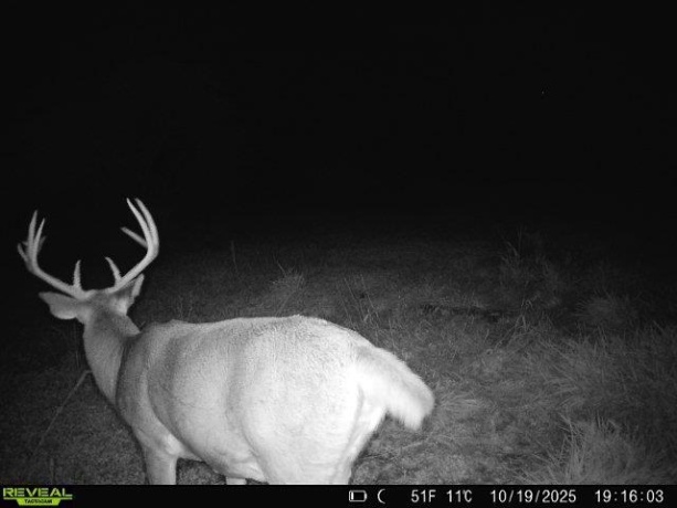 0 Crazy Hollow, HANOVER, Illinois 61041, ,Land,For Sale,Crazy Hollow,202500866