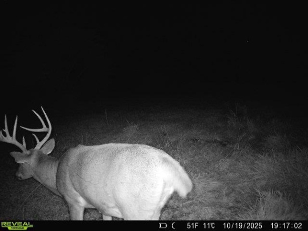 0 Crazy Hollow, HANOVER, Illinois 61041, ,Land,For Sale,Crazy Hollow,202500866