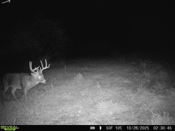 0 Crazy Hollow, HANOVER, Illinois 61041, ,Land,For Sale,Crazy Hollow,202500866