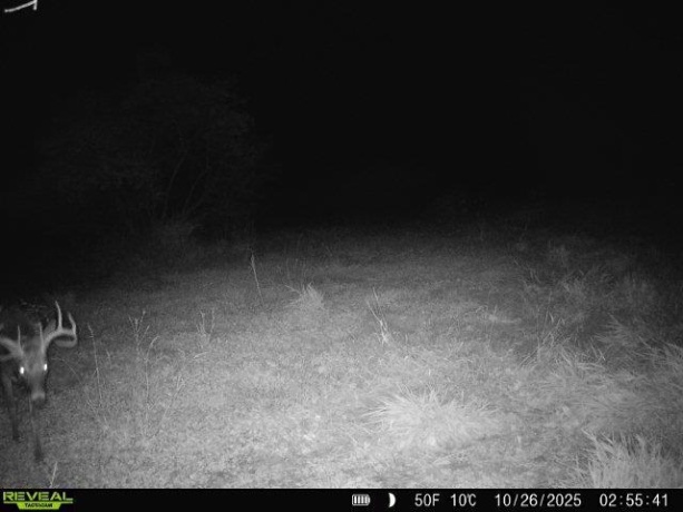 0 Crazy Hollow, HANOVER, Illinois 61041, ,Land,For Sale,Crazy Hollow,202500866