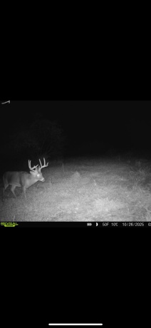 0 Crazy Hollow, HANOVER, Illinois 61041, ,Land,For Sale,Crazy Hollow,202500866