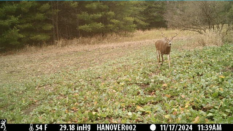 0 Crazy Hollow, HANOVER, Illinois 61041, ,Land,For Sale,Crazy Hollow,202500866