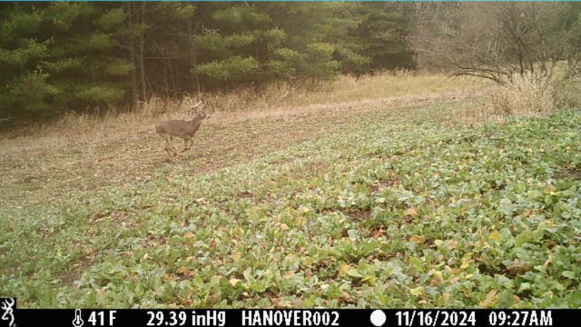 0 Crazy Hollow, HANOVER, Illinois 61041, ,Land,For Sale,Crazy Hollow,202500866