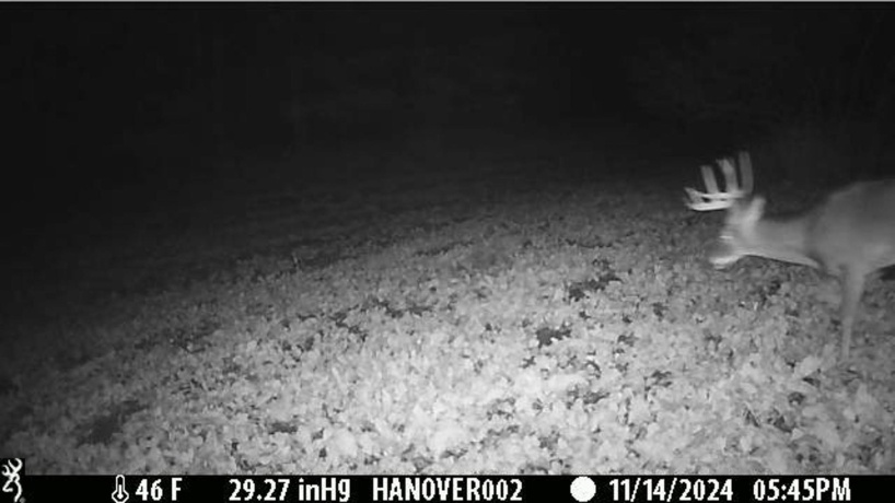 0 Crazy Hollow, HANOVER, Illinois 61041, ,Land,For Sale,Crazy Hollow,202500866