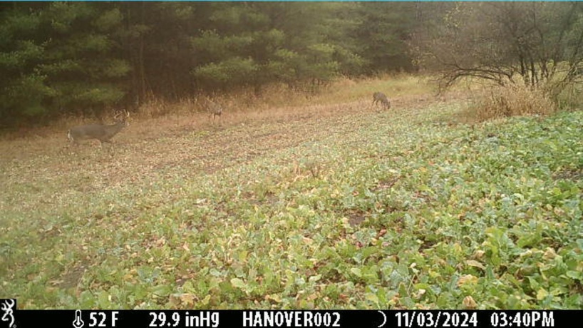 0 Crazy Hollow, HANOVER, Illinois 61041, ,Land,For Sale,Crazy Hollow,202500866