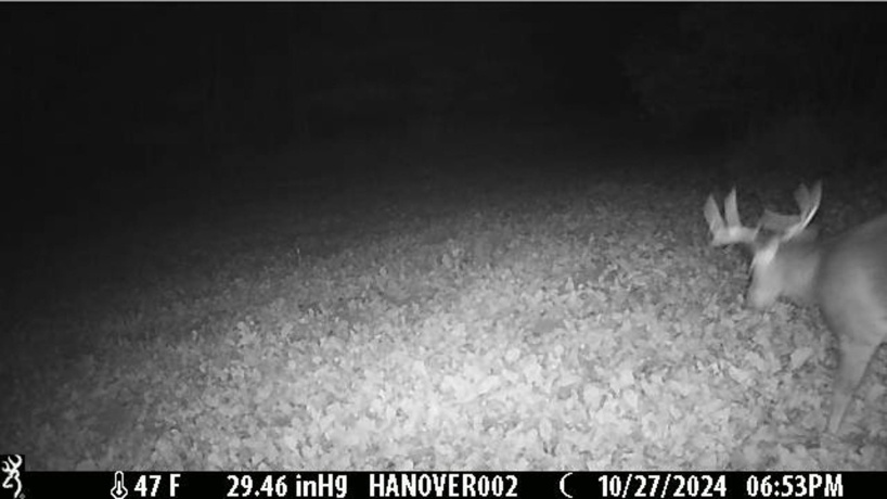 0 Crazy Hollow, HANOVER, Illinois 61041, ,Land,For Sale,Crazy Hollow,202500866