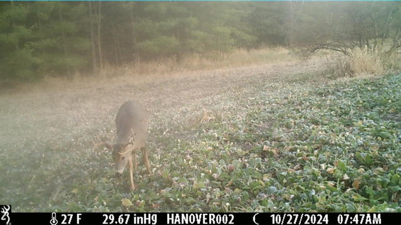 0 Crazy Hollow, HANOVER, Illinois 61041, ,Land,For Sale,Crazy Hollow,202500866