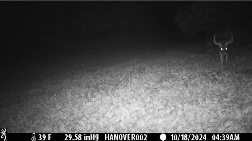 0 Crazy Hollow, HANOVER, Illinois 61041, ,Land,For Sale,Crazy Hollow,202500866