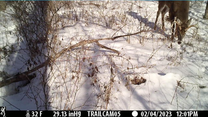 0 Crazy Hollow, HANOVER, Illinois 61041, ,Land,For Sale,Crazy Hollow,202500866