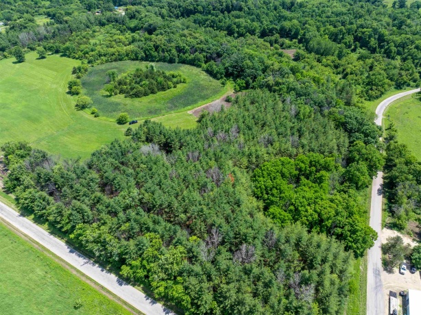 0 Crazy Hollow, HANOVER, Illinois 61041, ,Land,For Sale,Crazy Hollow,202500866