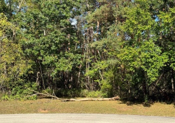 LOT 2 RYKOWSKI, SOUTH BELOIT, Illinois 61080, ,Land,For Sale,RYKOWSKI,202500882