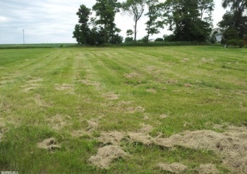 3214 Rye Ridge Trail, FREEPORT, Illinois 61032, ,Land,For Sale,Rye Ridge Trail,202500896