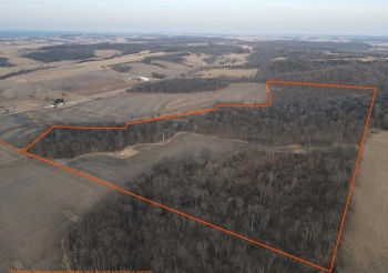 000 Steele Road, HANOVER, Illinois 61041, ,Land,For Sale,Steele Road,202500959