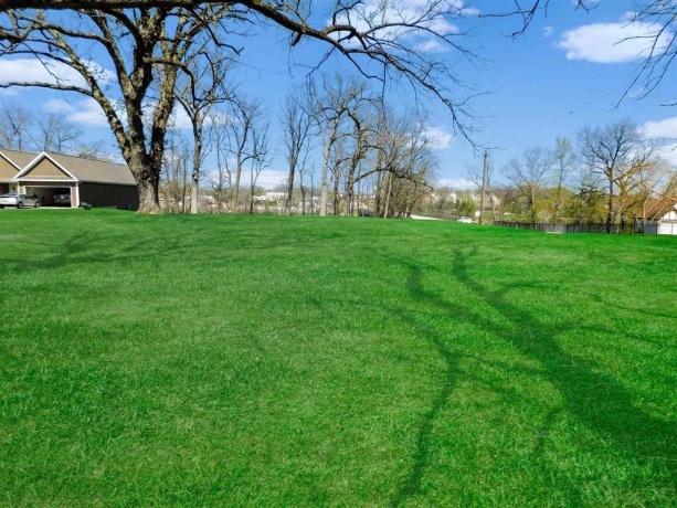 226 Blackhawk, ROCKTON, Illinois 61072, ,Land,For Sale,Blackhawk,202500781