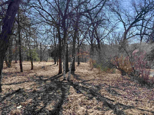 16524 Grove Creek, PECATONICA, Illinois 61063, ,Land,For Sale,Grove Creek,202501039