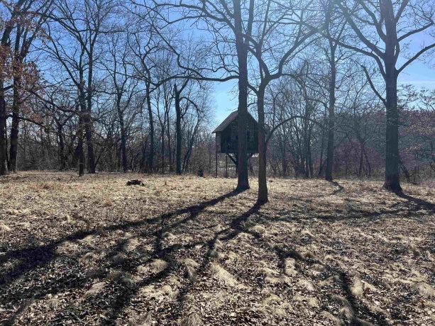 16524 Grove Creek, PECATONICA, Illinois 61063, ,Land,For Sale,Grove Creek,202501039