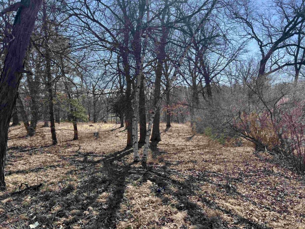 16524 Grove Creek, PECATONICA, Illinois 61063, ,Land,For Sale,Grove Creek,202501039